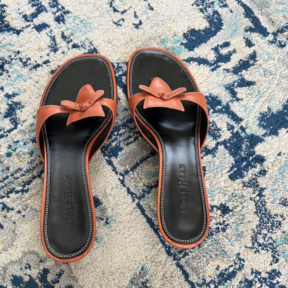 Cole Haan Women's Navy and Brown Slide Sandals